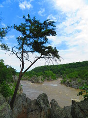 hiking potomac river great falls