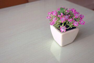 Plastic pink little flower in ceramic white square vase on shiny surface table