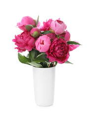Beautiful peonies in vase isolated on white