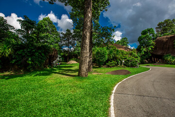 Natural background in the park with many kinds of plants, large stones, allow tourists to stop and take photos while traveling, the beauty of the ecosystem