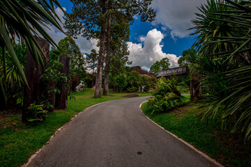 Obraz premium Natural background in the park with many kinds of plants, large stones, allow tourists to stop and take photos while traveling, the beauty of the ecosystem