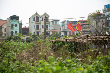 Red flags waving in the bush in city of Hanoi, Vietnam