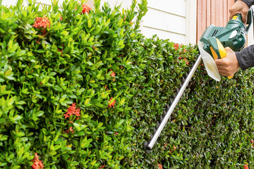 Man hand holding and using hedge trimmer for bush trimming. Shurb pruning, gardening and cutting...