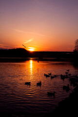 Sunset on Potomac River 