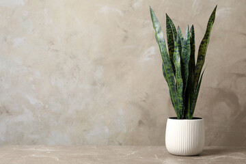 Beautiful artificial plant in flower pot on marble table. Space for text