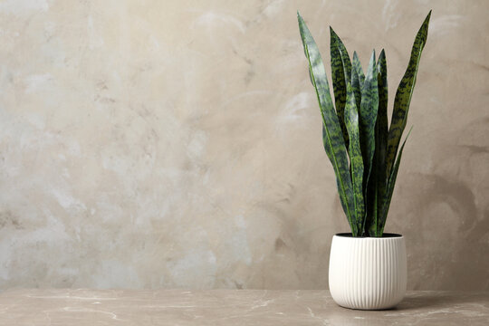 Beautiful artificial plant in flower pot on marble table. Space for text
