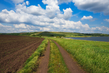 Fototapeta na wymiar A country road among fields with grasses, near a lake and hills. Summer natural landscape with cloudy sky.