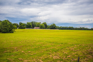 green field and blue sky