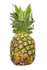 Fototapeta premium Exotic fruits and tropical diet concept with photograph of whole real pineapple fruit isolated on white background with clipping path cutout