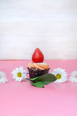 one delicious cupcake with cream and strawberry berries decorated with daisies on a pink background