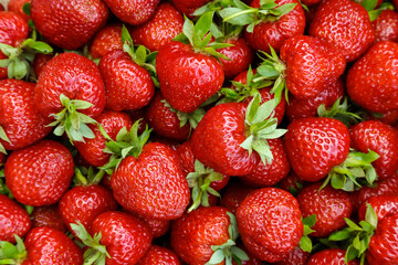 Background of red ripe strawberries close-up, top view.