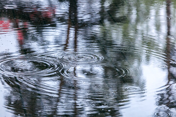 rain drops rippling in a puddle with sky and trees reflection. rainy day in the city