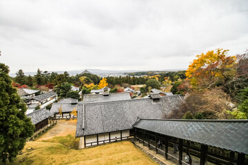 Fototapeta na wymiar Nara Park view
