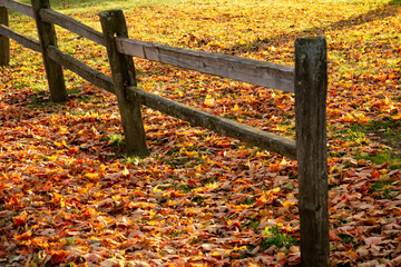 wooden fence on a fall day