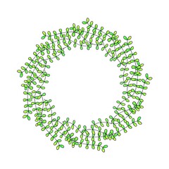 circle frame with green algae