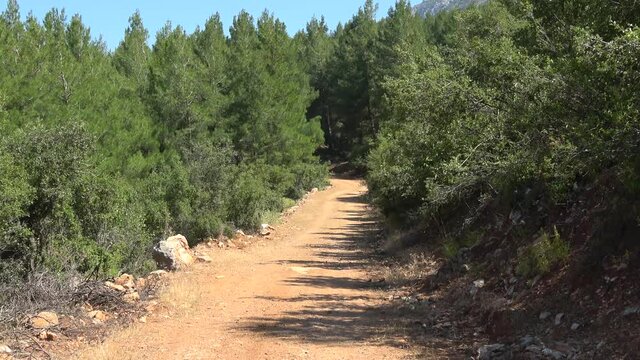 Ovacik, Fethiye, Turkey - 11th of Jane 2020: 4K Zoom out earth road through the Lycian forest
