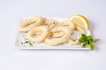 Squid dish on a white background