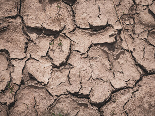 due to drought the soil is fissured and torn and forms a pattern