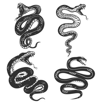 Set of illustrations of poisonous snake in engraving style. Design element for logo, label, sign, poster, t shirt. Vector illustration