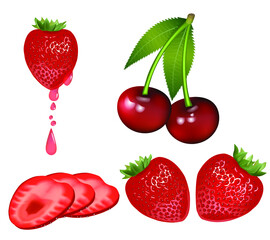 Vector illustration of red cherries and juicy strawberries