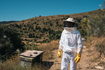 Beekeepers working to collect honey. Organic beekeeping concept.