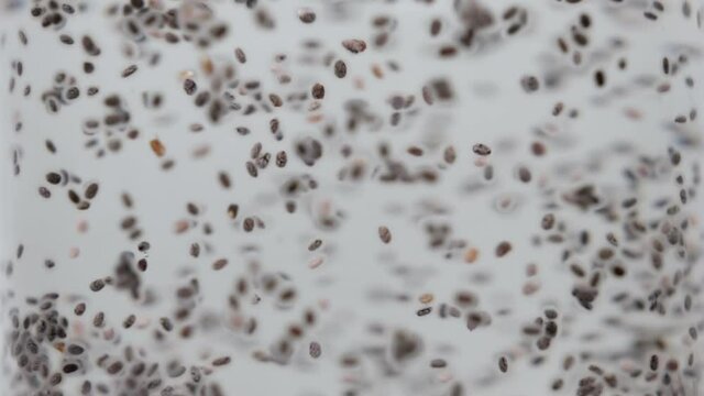 Chia Seeds Dancing and Soaking in Water in White Background