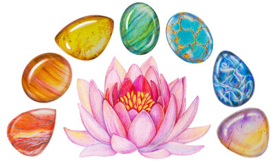 Rainbow Chakra Lotus Stone Set for Meditation. Hand drawn illustration of Chakra Healing Crystals with pink lotus flower.