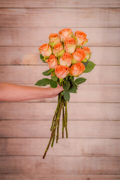 Women hand holding a bouquet of Country Home roses variety, studio shot.