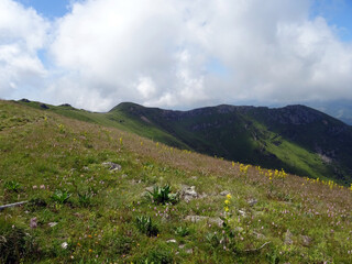 Fototapeta premium Auvergne