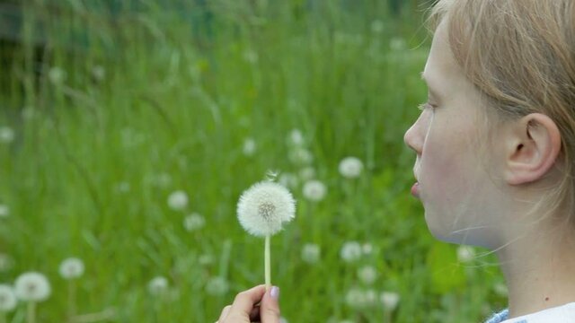 Girl Blowing Dandelion Clock