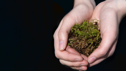 Naklejka na ściany i meble Close-up female hands holding a lump of moss on a dark background. Environmental care concept, clean air