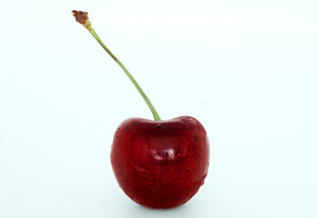 cherries on white background