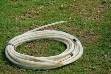 garden hose on the lawn