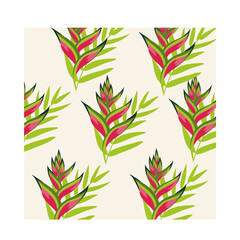 heliconias plants tropical pattern background