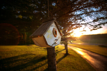 Homemade Birdhouse with a Welcome Sign made of Wood and twigs Hanging in the Sunset. 