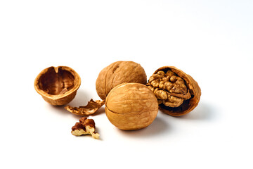 Walnut on a white background.