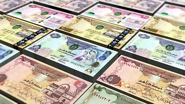 Arab Emirates UAE Dubai Dirhams Banknotes Looping Background stock video