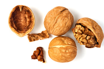 Walnut on a white background.