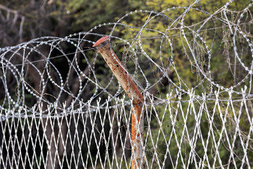 Restricted Area Barbed Fence, security concept, Anti-migrant razor wire on the border.South Africa...
