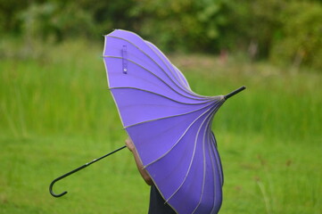 purple umbrella on green grass