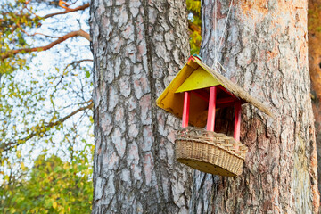 Bird feeders in park in a summer or autumn day.