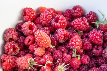 Ripe raspberries. Lots of juicy berries. Fresh crop. Postcard, banner.