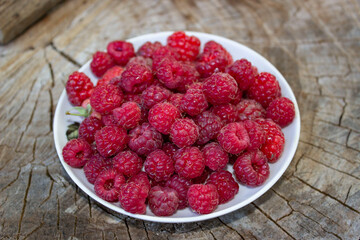 Raspberries, ripe, delicious pink. A plate full of berries is white porcelain.Stands on a structural wooden surface in nature. Freshly harvested crop. Postcard, banner.