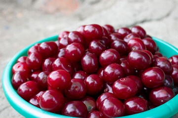 Red cherry, large. A full Cup of ripe berries. Merry.Gray background.