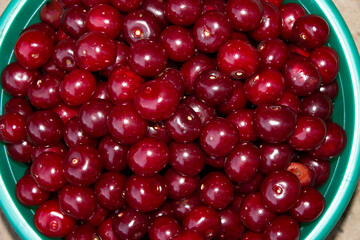 Red cherry, large. A full Cup of ripe berries. Merry.Gray background.