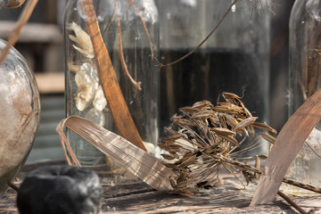 Dry flowers and leaves on an old wooden table with transparent bottles in the sunlight