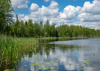 summer landscape with white cumulus clouds over the river, reflections in the water