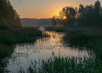 morning landscape with lake, green grass in the foreground, sunrise on the lake, summer