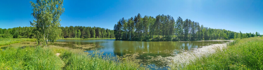 Obraz premium a forest lake surrounded by pine trees and green grass