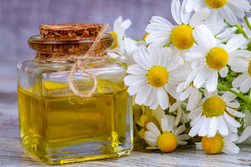 Essential oil in glass bottle with fresh chamomile flowers, beauty treatment.